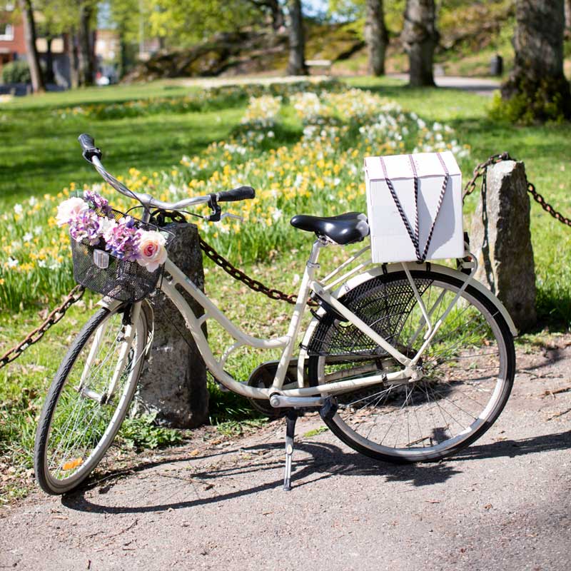 Snelbinder voor bagagedrager - Afbeelding 2